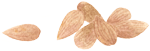 nuts